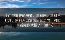 冷门但重要的细节：黑料网、黑料不打烊、黑料入口复盘后续走向，对照一下 看完你就懂了 （细节）
