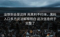 没想到会是这样 用黑料不打烊、黑料入口多方说法解释明白 这次信息终于完整了