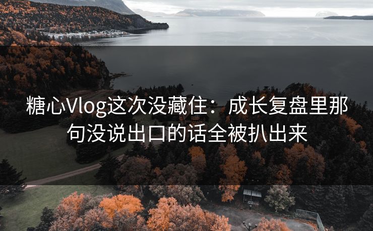 糖心Vlog这次没藏住：成长复盘里那句没说出口的话全被扒出来  第1张