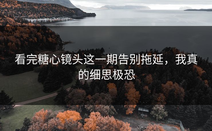看完糖心镜头这一期告别拖延，我真的细思极恐  第1张