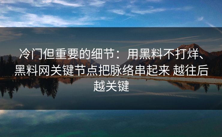 冷门但重要的细节：用黑料不打烊、黑料网关键节点把脉络串起来 越往后越关键  第1张