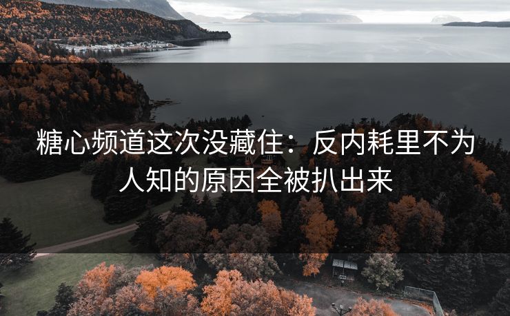 糖心频道这次没藏住：反内耗里不为人知的原因全被扒出来  第1张