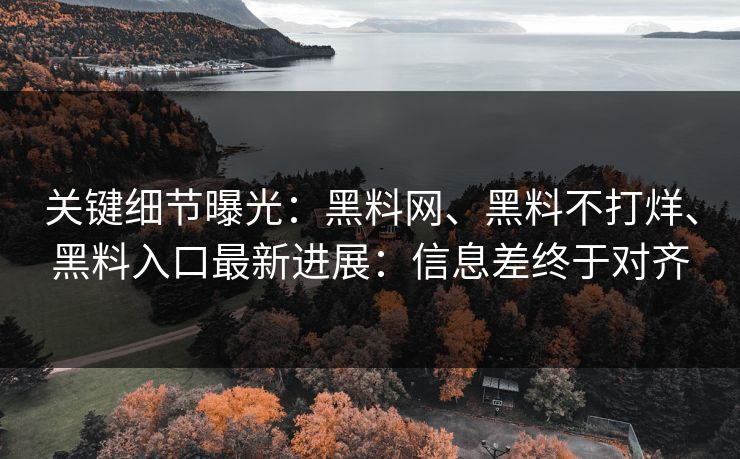关键细节曝光：黑料网、黑料不打烊、黑料入口最新进展：信息差终于对齐  第1张