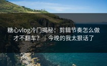糖心vlog冷门揭秘：剪辑节奏怎么做才不翻车？｜今晚的我太狠话了
