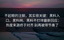不起眼的注脚，其实很关键：黑料入口、黑料网、黑料不打烊最新回应：热度来源终于对齐 别再被带节奏了