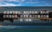 关键细节曝光：黑料不打烊、黑料网在背景脉络，讲清楚 真正的重点在最后（进展）