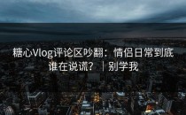 糖心Vlog评论区吵翻：情侣日常到底谁在说谎？｜别学我