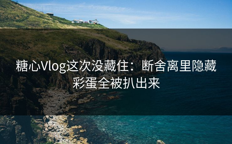 糖心Vlog这次没藏住：断舍离里隐藏彩蛋全被扒出来  第1张