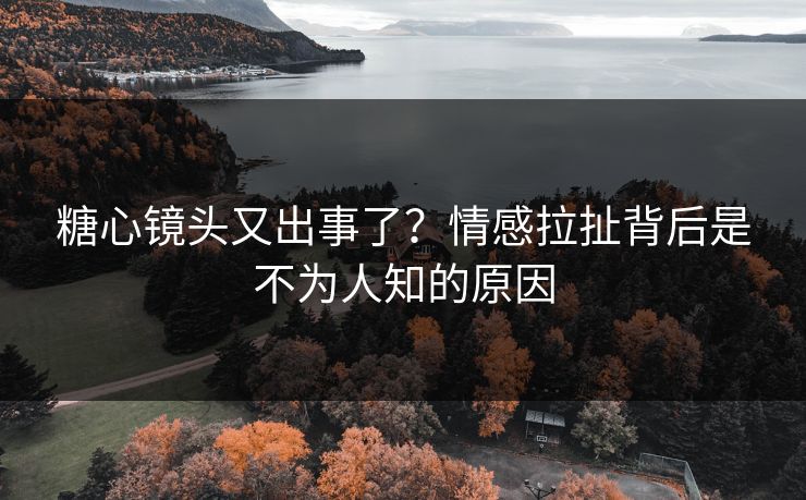 糖心镜头又出事了？情感拉扯背后是不为人知的原因  第1张