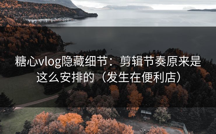 糖心vlog隐藏细节：剪辑节奏原来是这么安排的（发生在便利店）  第1张