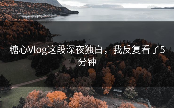 糖心Vlog这段深夜独白，我反复看了5分钟  第1张