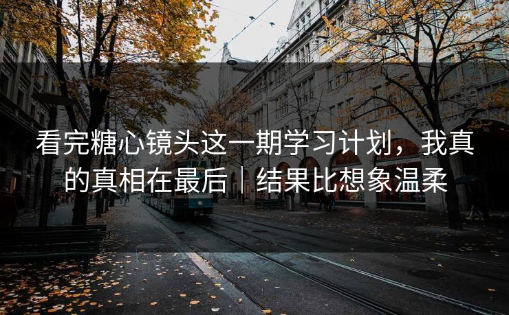 看完糖心镜头这一期学习计划，我真的真相在最后｜结果比想象温柔  第1张