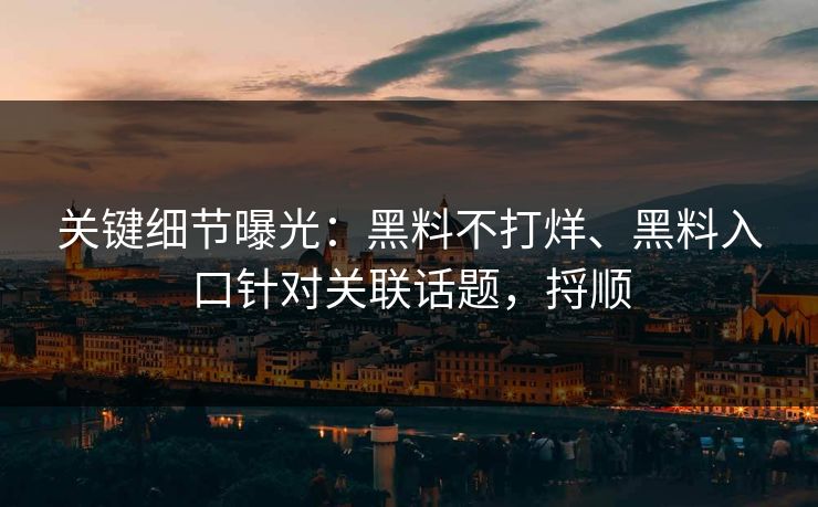 关键细节曝光：黑料不打烊、黑料入口针对关联话题，捋顺  第1张